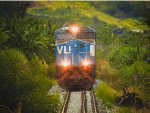 VLI 6028
